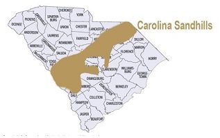 Sandhills Real Estate Investors Association